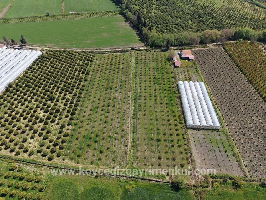 Ortaca Eskiköy Mah. Satılık Tarla - Tarla İmar Durumlu - 16.000 m²