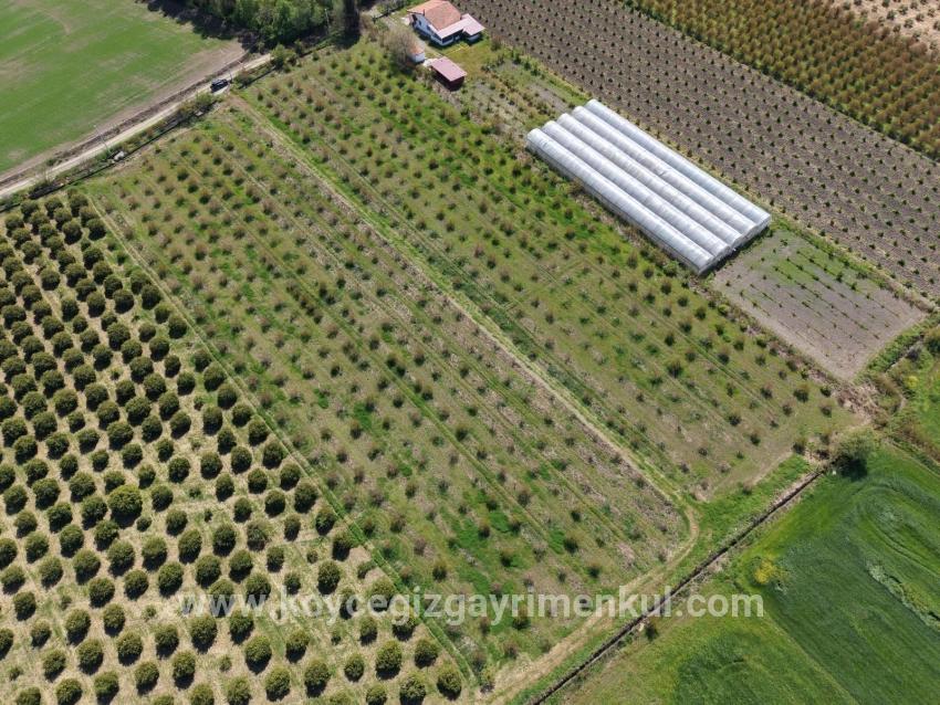 Ortaca Eskiköy Mah. Satılık Tarla - Tarla İmar Durumlu - 16.000 m²