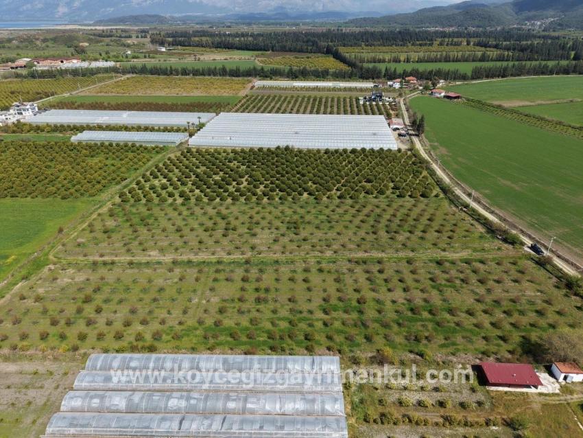 Ortaca Eskiköy Mah. Satılık Tarla - Tarla İmar Durumlu - 16.000 m²