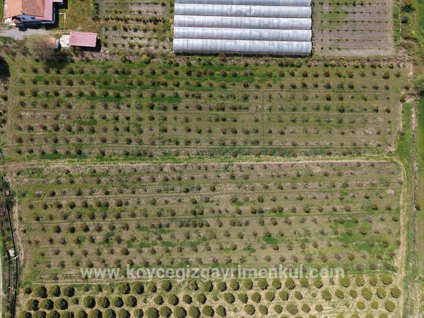 Ortaca Eskiköy Mah. Satılık Tarla - Tarla İmar Durumlu - 16.000 m²