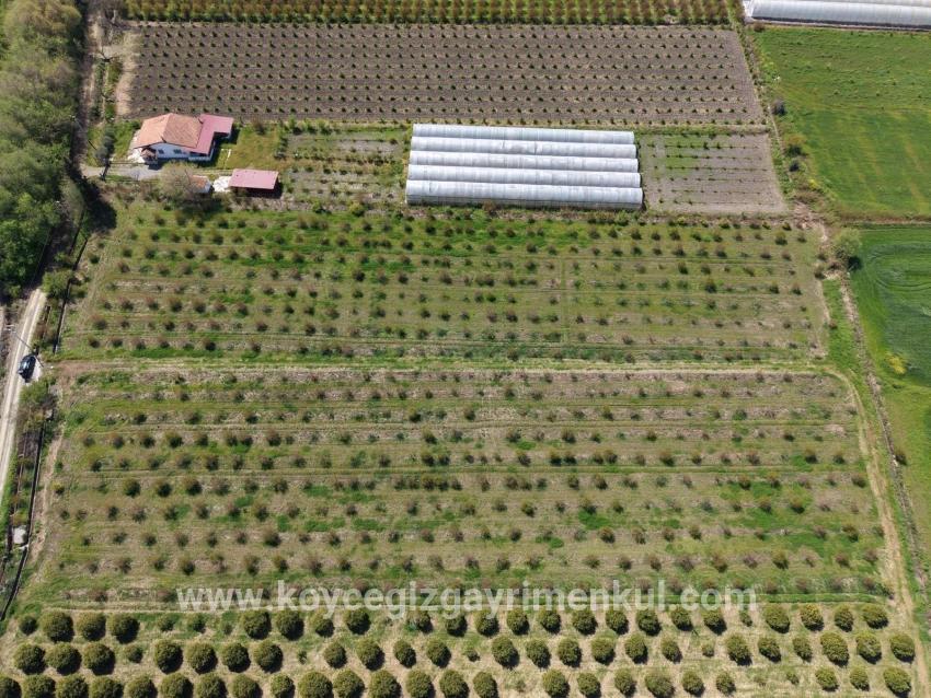 Ortaca Eskiköy Mah. Satılık Tarla - Tarla İmar Durumlu - 16.000 m²